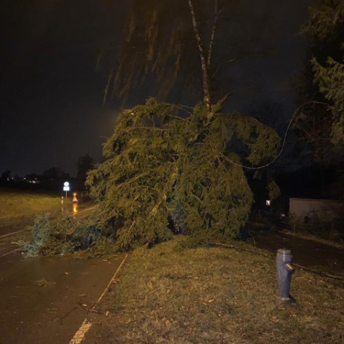 Baum, Ast, Unwetter, Landenbergstrasse sowie Neuwiesenstrasse